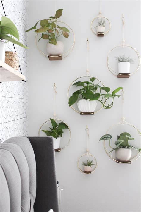 wall mounted plant hangers indoor